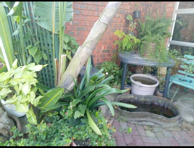 3 BEDROOM HOUSE TO LET IN WILD EN WEIDE